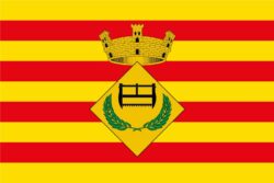 Curs online temari específic Policia Local de Sant Quirze del Vallès